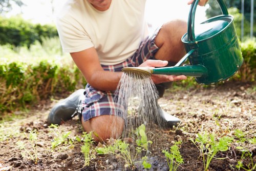 Soft landscaping work with turf preparation and planting beds in a Havering garden