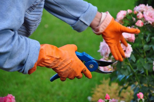 Landscaping team in Havering preparing safely for outdoor work