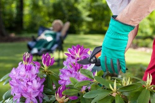 Screen-reader friendly landscaping information for Havering