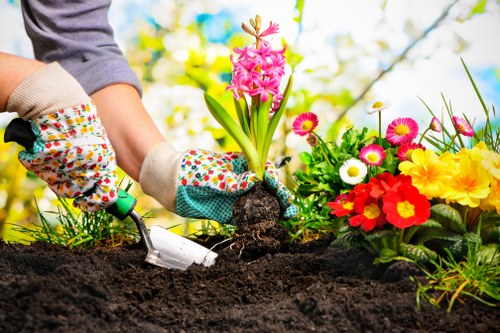 About us landscaping Havering with completed garden design