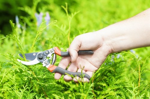 Trained landscaper using protective equipment during garden maintenance