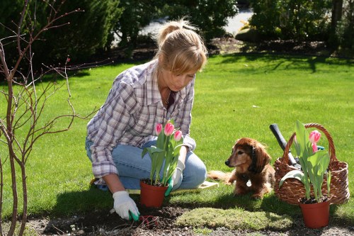Liability and site safety in garden landscaping
