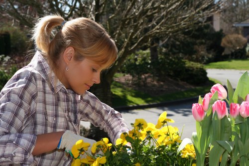 Havering garden landscaping with structured paths and planting