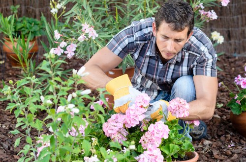 Responsible waste removal during landscaping work