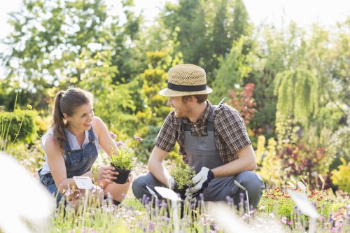 Local landscaping team planning a garden redesign in Havering
